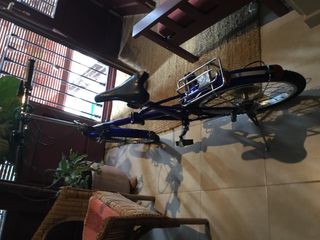Bicicleta Plegable Ruedas 20” con Funda