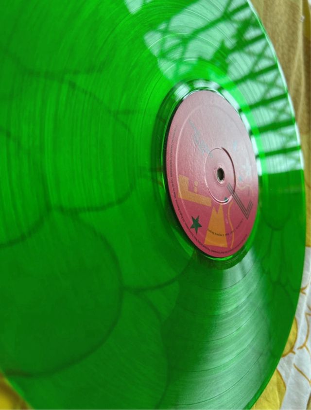 Camila Cabello Familia Vinilo Verde