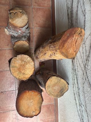 Troncos de pino
