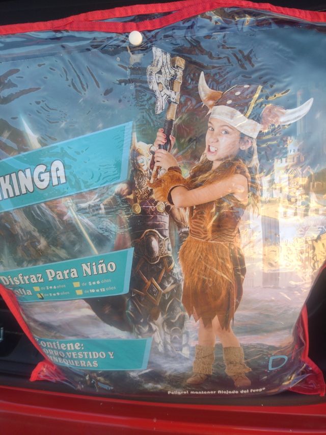 Disfraz Vikinga para Niña