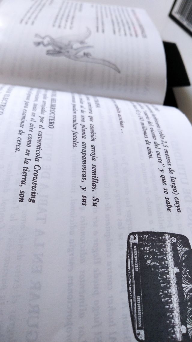 Joe & Mac Caveman Ninja NES