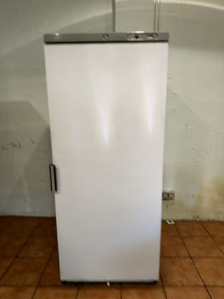 Congelador vertical una puerta