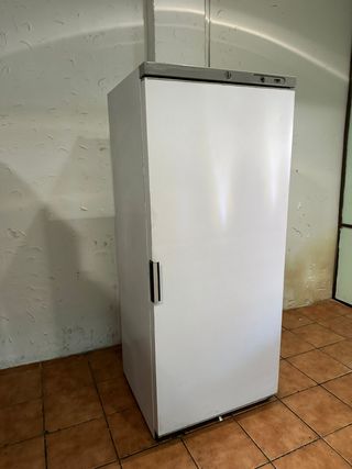 Congelador vertical una puerta