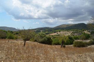 Terreno en venta en Sant Llorenç des Cardassar