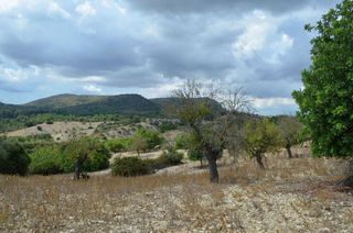 Terreno en venta en Sant Llorenç des Cardassar