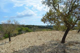 Terreno en venta en Sant Llorenç des Cardassar