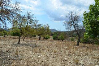 Terreno en venta en Sant Llorenç des Cardassar