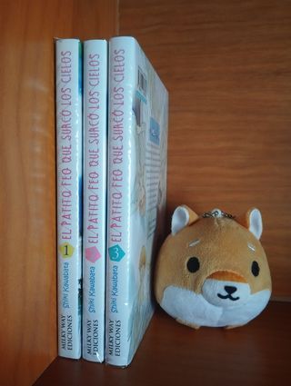 El patito feo que surcó los cielos