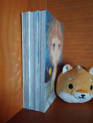 El patito feo que surcó los cielos