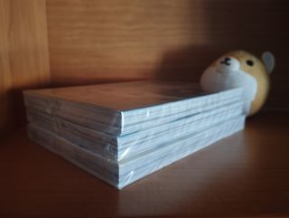 El patito feo que surcó los cielos