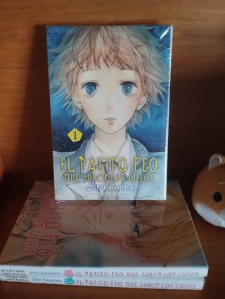 El patito feo que surcó los cielos