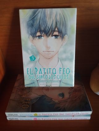 El patito feo que surcó los cielos