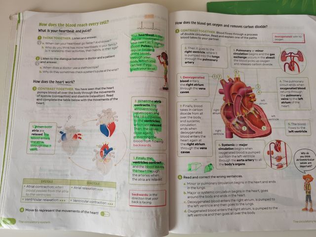 Natural Science. 5 Primary. Revuela. Principado...