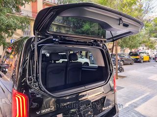 V 300d Extra Larga | 8 Plazas | 2023