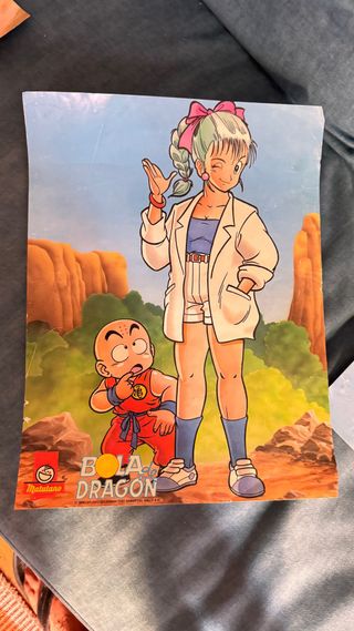 3 Posters  Antiguos  Bola de Dragón Matutano