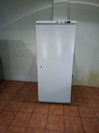 Congelador vertical industrial