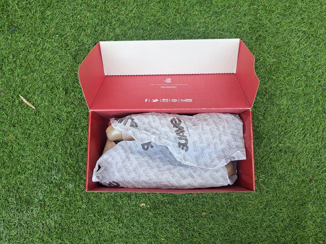 BAILARINAS BEIGE SABRINAS DE CHAROL NOBUK TALLA 40