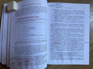 Las estructuras sintácticas del español actual ...