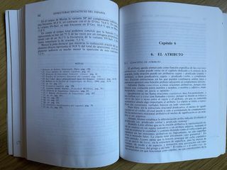 Las estructuras sintácticas del español actual ...
