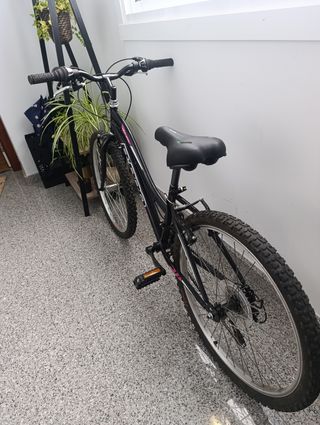 Bicicleta B-Pro JR24 24