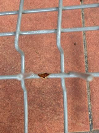 Cestas para lavavajillas Balay