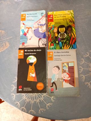 Lote de 4 libros infantiles SM