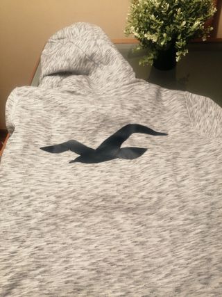 Sudadera Hollister Gris con Logo