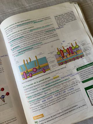 Inicia Biología 2.º Bachillerato. Libro del alumno