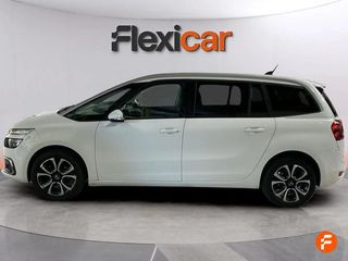 Citroën Grand C4 Spacetourer BlueHDi 96KW (130CV) EAT8 Shine