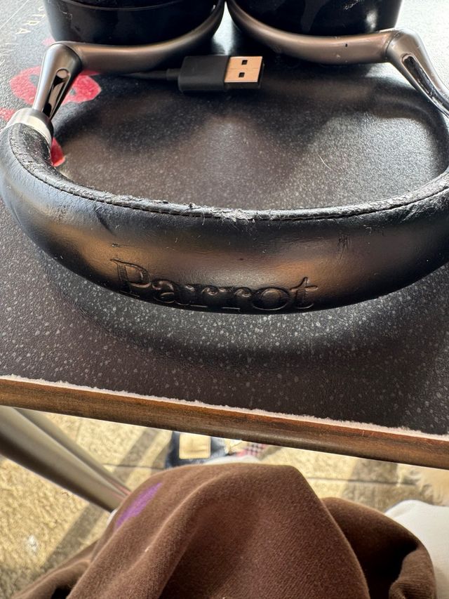 Auriculares Parrot Negros y Plateados