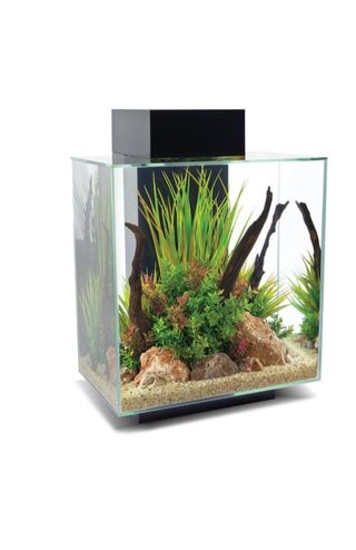 Acuario Fluval Edge 2.0 46L Negro