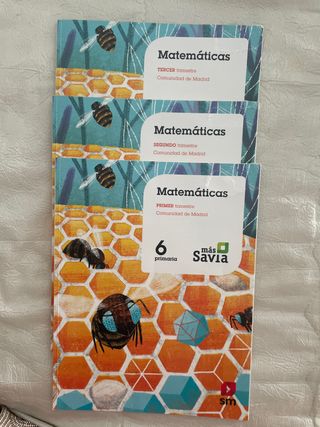 Matemáticas. 6 Primaria. Más Savia