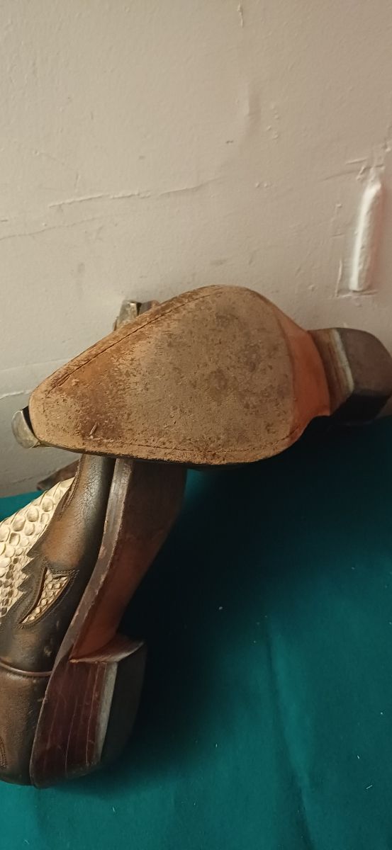 Boots Vaqueras Mayura Piel Serpiente