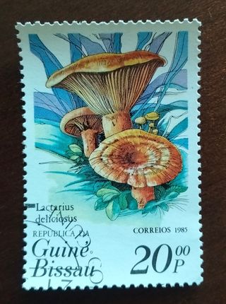 Lote 5 sellos República da Guiné Bissau