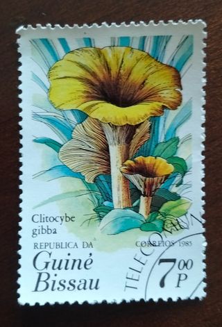 Lote 5 sellos República da Guiné Bissau