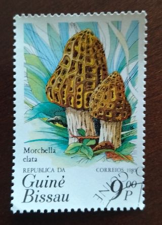 Lote 5 sellos República da Guiné Bissau