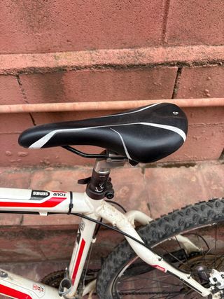 Bicicleta Trek 4900