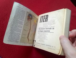 DICCIONARIO ILUSTRADO DE LA LENGUA ESPAÑOLA ITER..