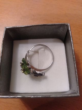 Anillo Plata Granate y Moldavita Talla 58