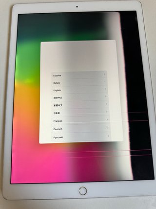 iPad Pro 11 12.9 2018 pantalla con error