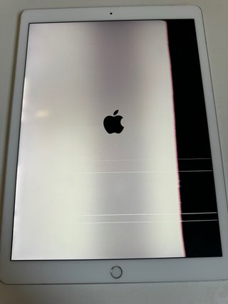 iPad Pro 11 12.9 2018 pantalla con error