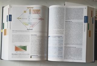 Medicina Interna Harrison