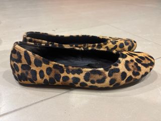 Bailarinas de piel Zara estampado leopardo