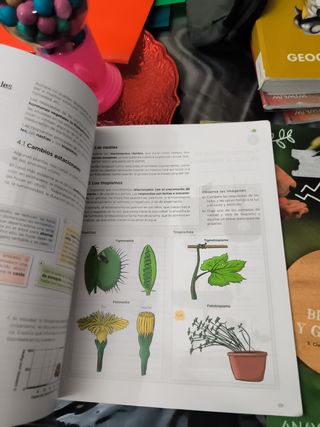 Biología y Geología 1eso 3 trimestres