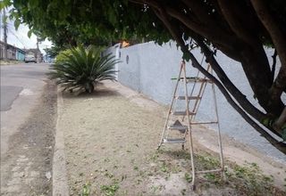 Jardinero economíco