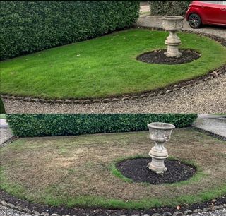 Jardinero economíco