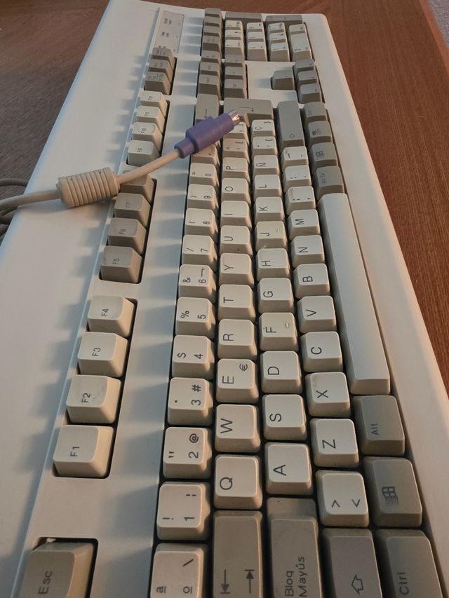 Teclado Dell AT102W Vintage Retro