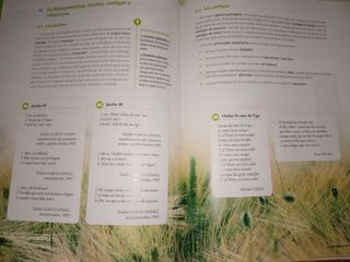 Lengua castellana y literatura 1º Bachillerato ...