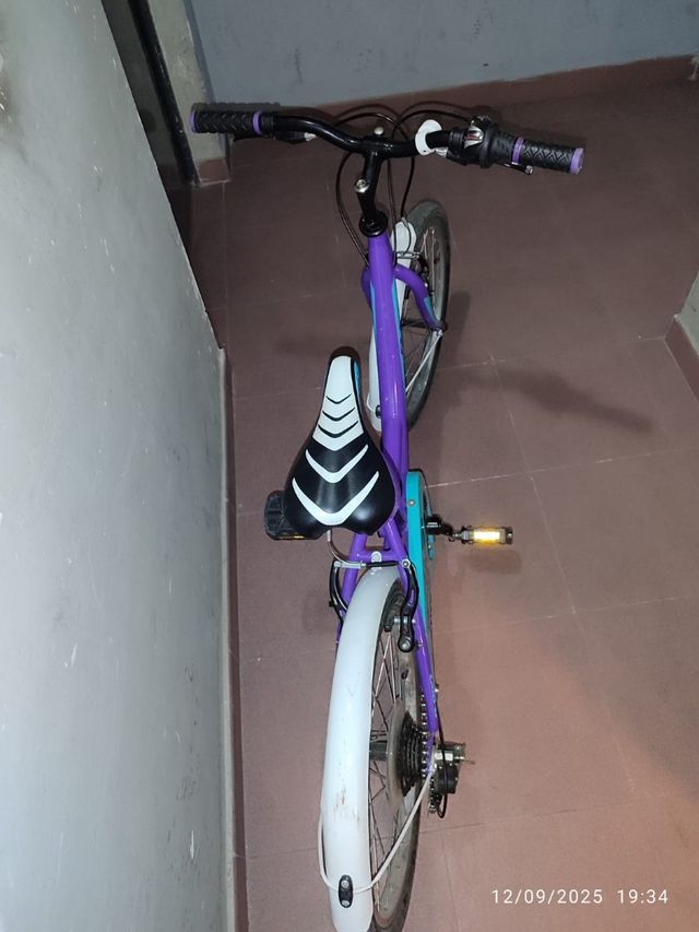 Bicicletta B-PRO da 20 pollici a 6 velocità