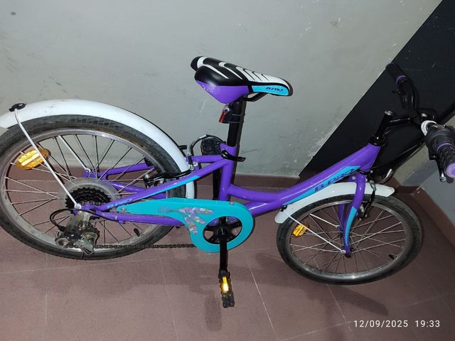 Bicicletta B-PRO da 20 pollici a 6 velocità